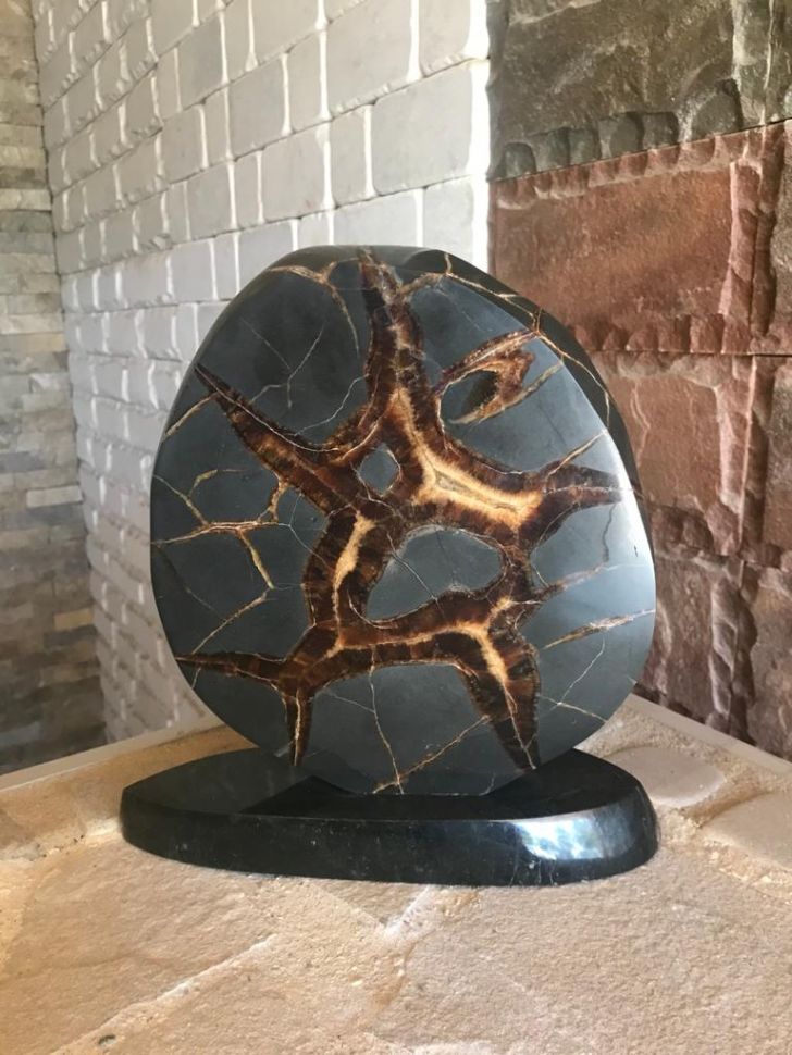 Септария 2 Изображение №2