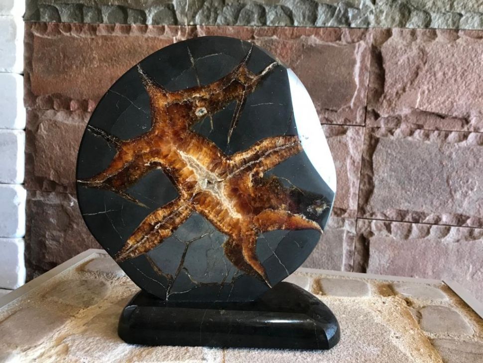 Септария 6 Изображение №1