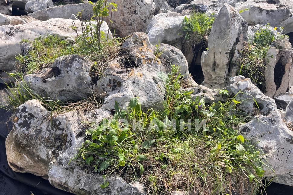 Валун горный «Эльбрус» 40-200 см Изображение №1