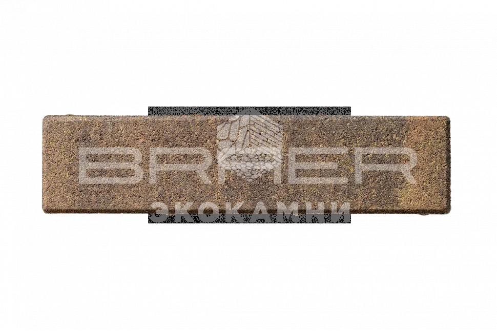 Braer Тротуарная плитка Ригель 2.0, Color Mix Прайд, 60 мм Изображение №1
