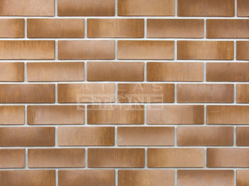 Дрезденский кирпич 155 Изображение №1